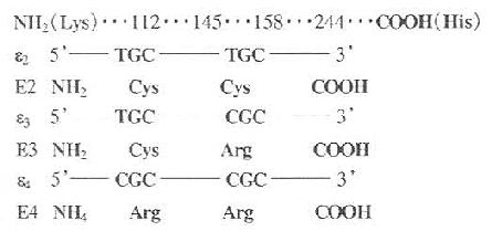 人ApoE三种主要异构体的氨基酸残基及基因密码的改变位置