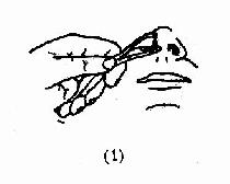 前鼻镜使用法