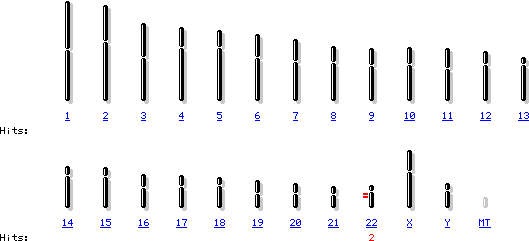 在第22条染色体上BCR基因表达