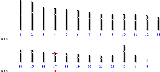 在第17条染色体上P53基因表达