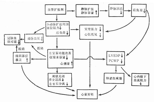 血管扩张剂治疗心衰的机理