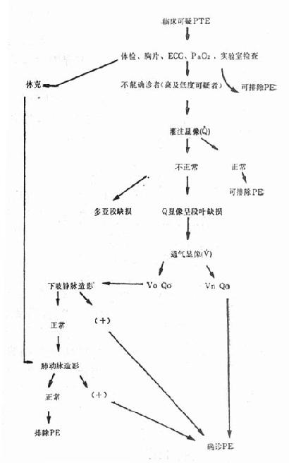 肺血栓栓塞的检查步骤