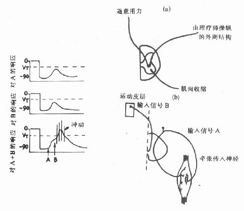 促进的实例