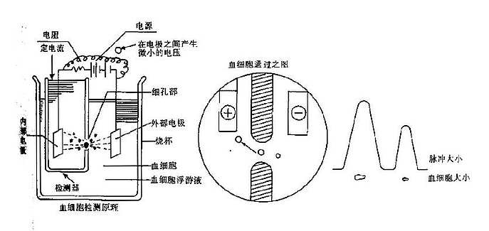 电阻抗法血细胞计数原理