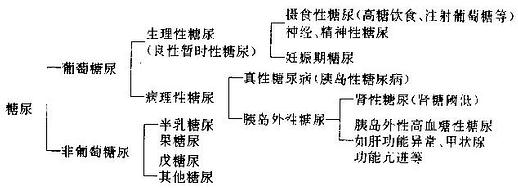 糖尿的原因及分类