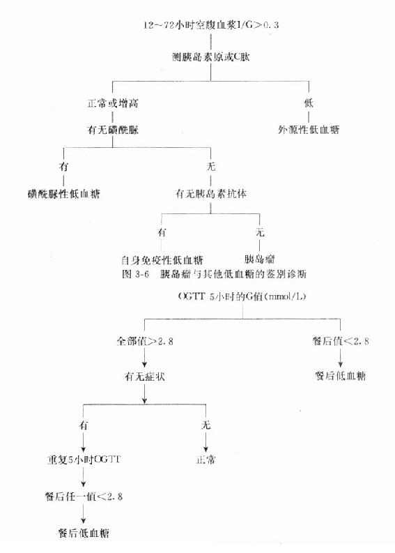 餐后低血糖的诊断程序