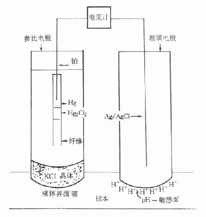 pH电极结构示意图