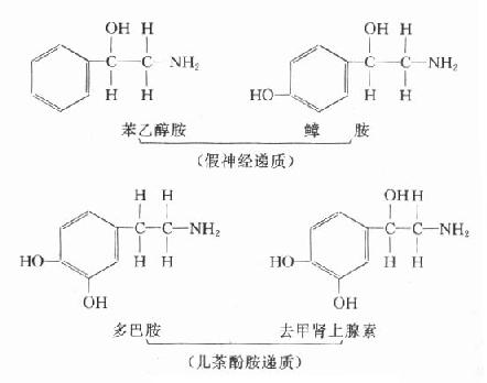 假递质学说