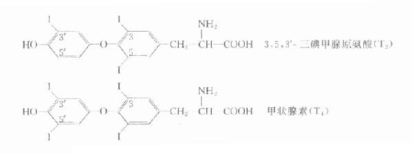 甲状腺激素化学结构示意图