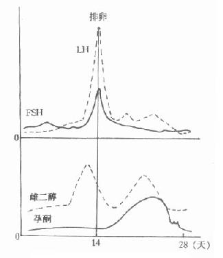 月经周期中有关雌性激素变化示意图