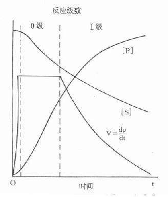 酶促反应中基质[S]、产物[P]