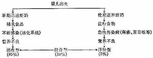  蛋白质-能量营养不良发生示意图