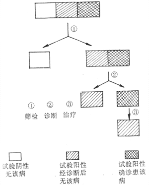 筛检步骤示意图