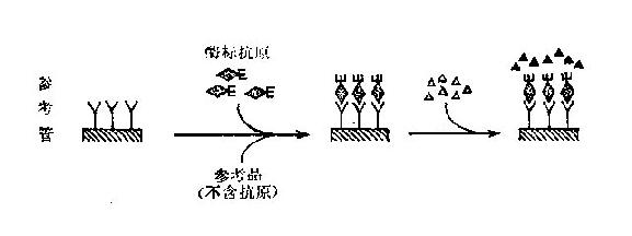 竞争法测抗原示意图