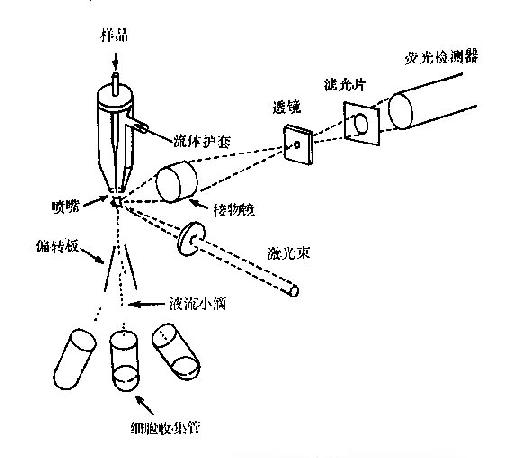 荧光激活细胞分离仪简图