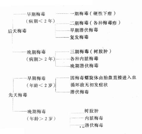 未经治疗梅毒患者自然发展过程