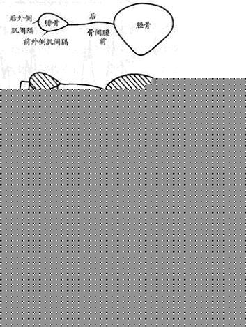 Ca在经络上的分布图