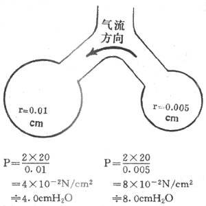 相联通的大小不同的液泡内压及气流方向示意图