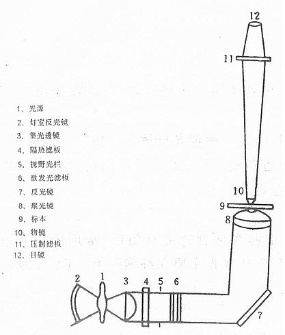 荧光显微镜的结构和主要部件 