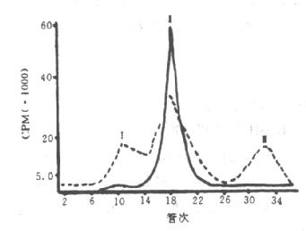 125I—HGH的SephadexG-100过滤谱