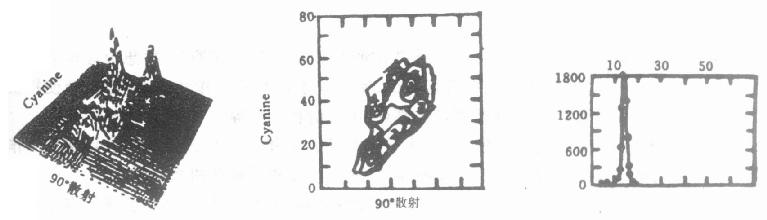  从二维图设窗调出直方图示意