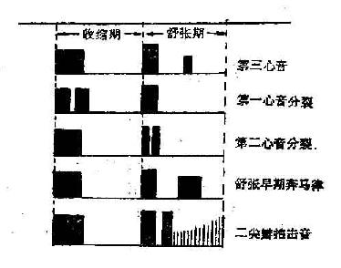 临床常见三音律示意图