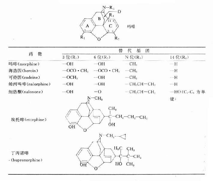 吗啡及其衍生物的化学结构