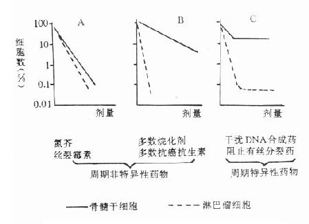 各类抗肿瘤药杀灭小鼠骨髓干细胞及淋巴瘤细胞的量效曲线