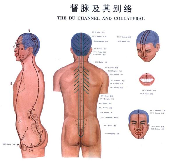 督脉分寸经穴歌