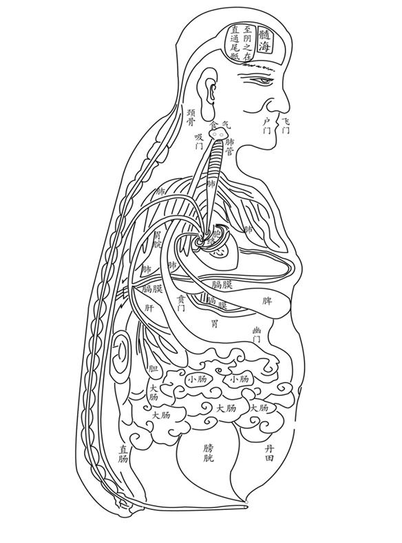 脏腑明堂图