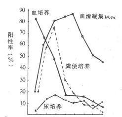 伤寒病程中各种试验阳性率