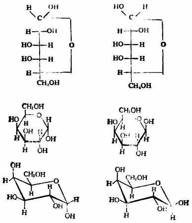 α-D-吡喃半乳糖β-D-吡喃半乳糖