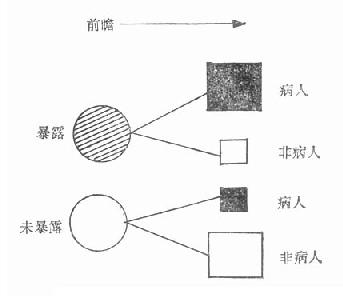 定群研究的结构模式