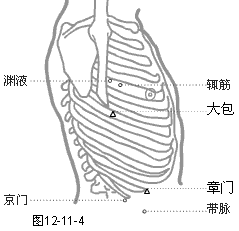 足少阳胆经穴