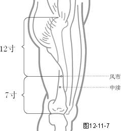 足少阳胆经穴