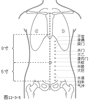 足阳明胃经穴