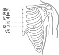 任脉穴