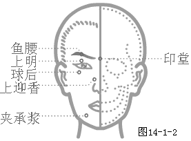 奇穴头颈部穴