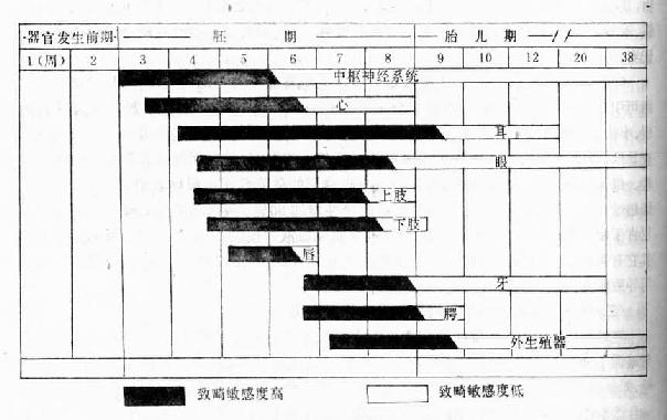  人胚胎主要器官的致畸敏感期